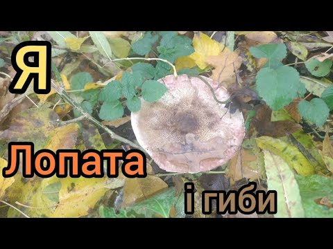 Видео: Я, лопата ы гриби