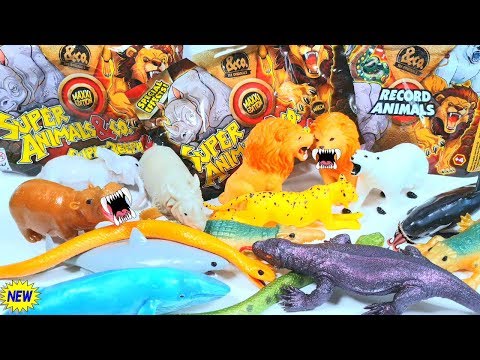 Видео: Super Animals Maxi НОВИНКА Де Агостини 2019 распаковка видео обзор ИГРУШКИ (Супер звери &Ко Макси)