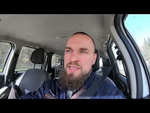 Видео: Друзья, помогите с давлением!!!