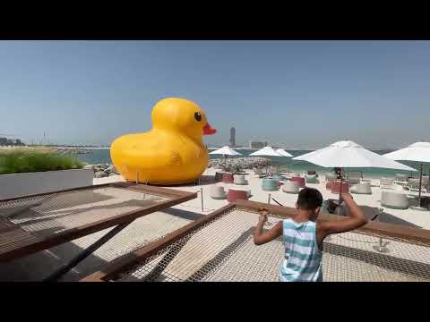 Видео: Rove Al Marjan Island Эмираты Рас аль Хайма