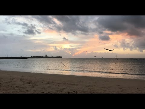 Видео: Нарізка з подорожі