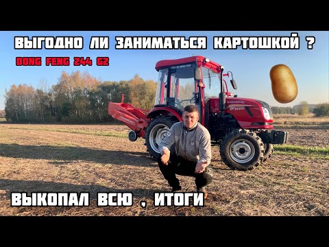 Видео: ВЫКОПАЛ КАРТОФЕЛЬ 🥔 DF244G2 СТОИЛО ЛИ САДИТЬ КАРТОФЕЛЬ?ЦЕНЫ?ВЫГОДНО ИЛИ НЕТ