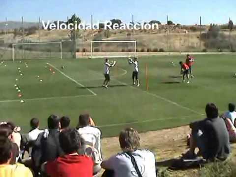 Видео: Упражнения на ловкость, реакцию и быстроту работы ног показывают испанские вратари