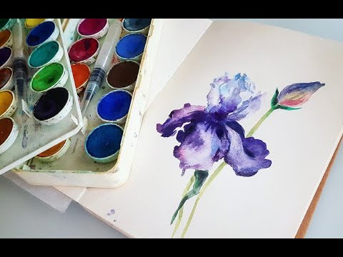 Видео: РИСУЕМ ИРИСЫ ЗА 5 МИНУТ☆9 обзор красок LYRA