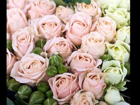 Видео: Ким Хён Джун