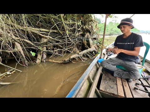 Видео: УДИВИТЕЛЬНО!! ГИГАНТСКАЯ КРЕВЕТКА ОЧЕНЬ СИЛЬНО ТЯНЕТ МОЮ УДОЧКУ || РЫБАЛКА НА ЗЕЛЕНЫХ КРЕВЕТОК