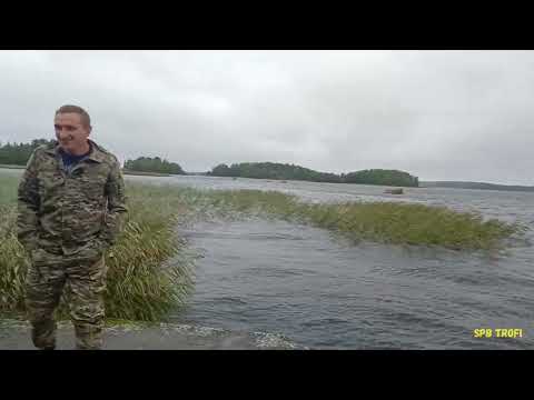Видео: Как мы искали Беседку Кузьмича и нашли целый забытый мир.