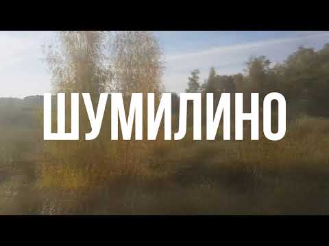 Видео: Шумилино после дожинок (02.10.2021) Full HD