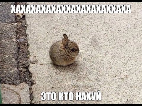 Видео: Мод : Вожатая с изумрудными глазами (в 3 голоса/3 часть)