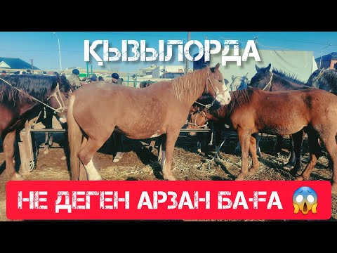 Видео: ҚЫЗЫЛОРДА МАЛ БАЗАРЫ, ҚОЙ СИЫР ЖЫЛҚЫ БАҒАЛАРЫ.