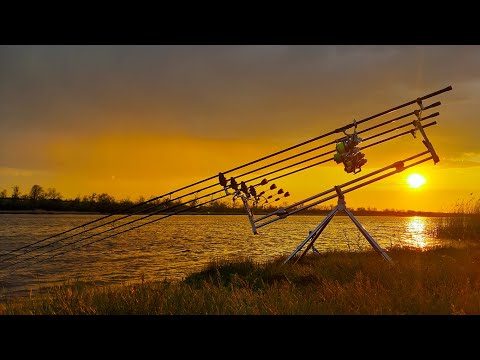 Видео: Ловля карпа и амура. Все курят, а мы ловим. Рыбалка как доктор прописал