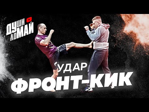 Видео: Прямой удар ногой / Front kick techniques