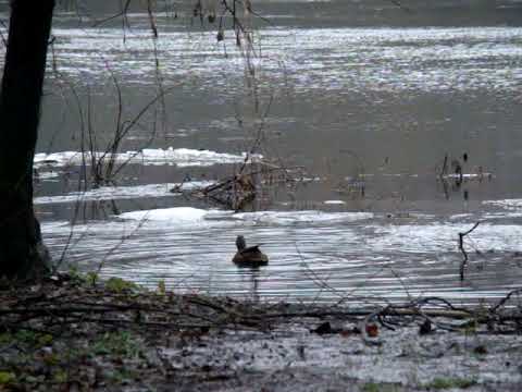 Видео: Таня в работе