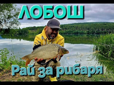 Видео: Риболов на Лобош - какво хванах за 6 дни 2025