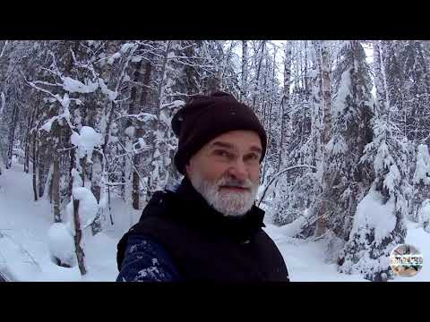 Видео: Проверка капканов на бобров. Зимняя охота на пушнину