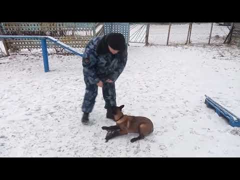 Видео: Куда уходит детство?