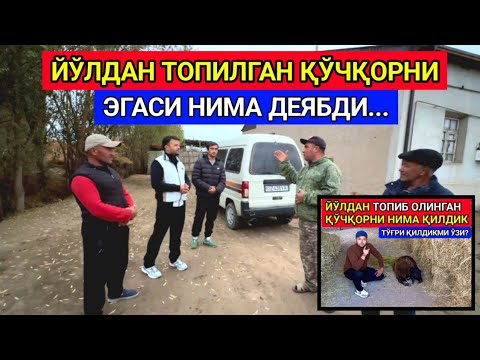 Видео: ЙЎЛДАН ТОПИЛГАН ҚЎЧҚОРНИ ЭГАСИНИ ТОПДИК  4-ноября 2024 г.