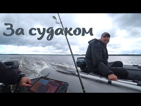 Видео: ЛОВЛЯ СУДАКА НА РАТЛИНЫ!!! СЕКРЕТНАЯ ПРОВОДКА!!!