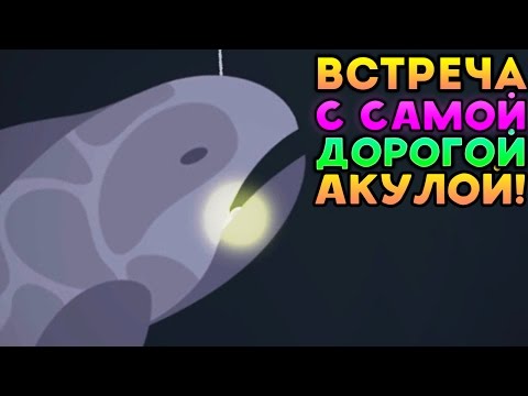 Видео: ВСТРЕЧА С САМОЙ ДОРОГОЙ АКУЛОЙ! - Cat Goes Fishing