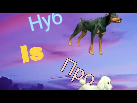Видео: Нуб is Про °^•Dog Sim•^°