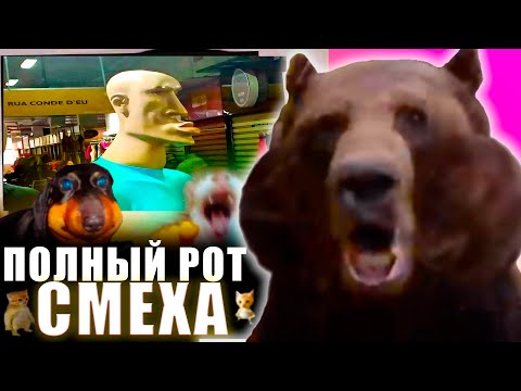 Видео: DAWG СМОТРИТ Memes That End Unexpected 28