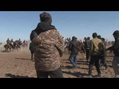 Видео: Ылак Ойыны Топе Ауыл 27.02.2024