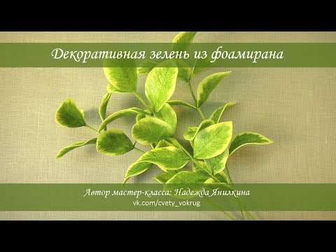 Видео: Декоративная зелень из фоамирана мастер-класс / Decorative greens | foam flowers | DIY