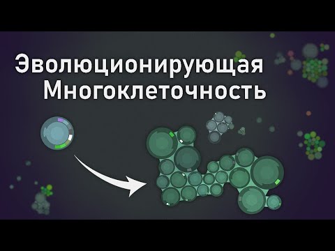 Видео: Симуляция эволюционирующего микрокосма | Путь к многоклеточности [Перевод Dylan Cope]