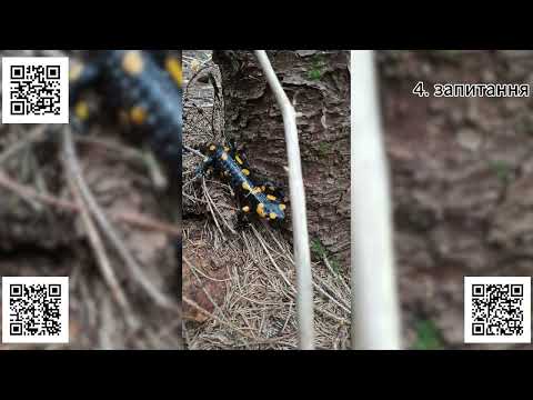 Видео: Финальный разговор: что спасает, а что только мешает в горах