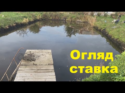 Видео: Як живе мій ставок, станом на 22 жовтня. Короткий огляд🎣