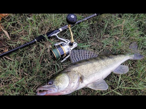 Видео: Shimano Sustain AX 810M, тест и обзор.