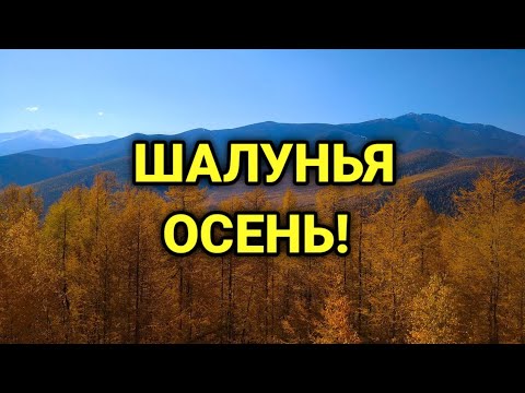 Видео: Шалунья осень!