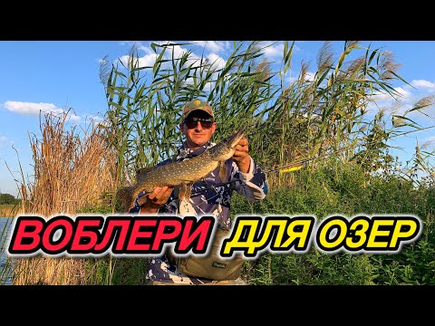 Видео: Які потрібно мати воблери щоб успішно ловити щуку на озерах / рибалка на щуку 