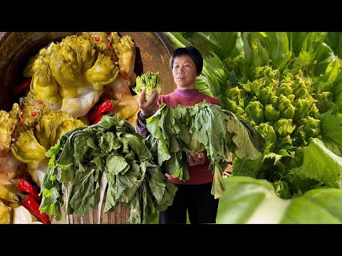 Видео: Маринованные овощи бабушки Маринованные овощи, соленья с золотой горчицей, собранные через 7 дней