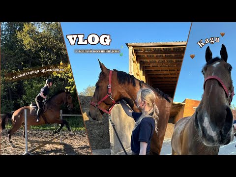 Видео: VLOG ~ Как проходят весенние дни на конюшне🌷✨Не запланированная прыжковая тренировка 😧#влог #лошади