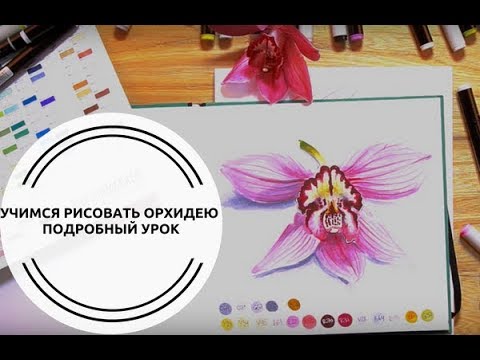 Видео: Урок рисования _ Учимся рисовать орхидею маркерами