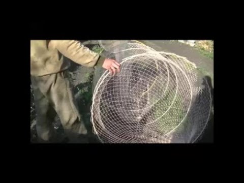 Видео: Изготовления вентеря (мережи) с большими кольцами для большой глубины