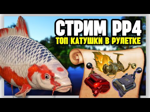 Видео: 🔴 СТРИМ РР4┃🔥РАЗДАЧА КАРПОВ КОИ НА ОЗЕРЕ МЕДНОМ┃🎁 РАПТОР и ВЕНГА в рулетке┃maXS1k