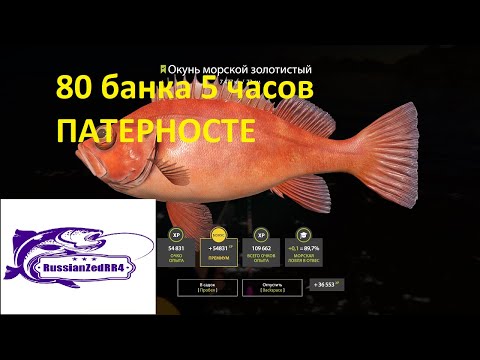 Видео: Норвежское море  Патерностер   80 банка