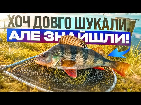 Видео: Риболовля у Вихідний. Осінні Окуні: Шукаємо і Знаходимо!