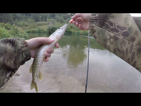 Видео: У Дачная Рыбалка на Лопасне. Не мормышинг!
