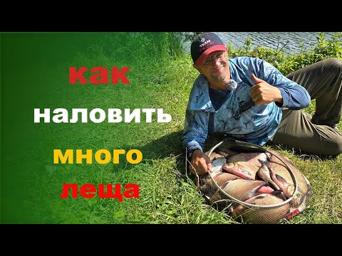 Видео: Как наловить много леща