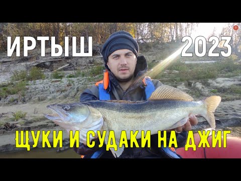 Видео: Рыбалка на реке Иртыш, сентябрь 2023. Ловля судаков и щук на джиг.