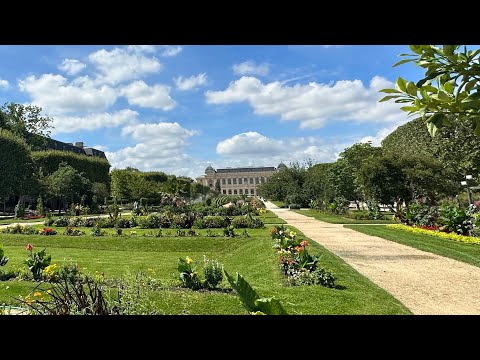 Видео: Сад Растений Парижа - ботанический рай в столице Франции 💚