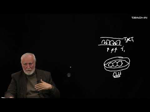 Видео: Буданов В.Г. - Концепции современного естествознания - 14. Междисцип. подходы XX-XXI вв. Синергетика