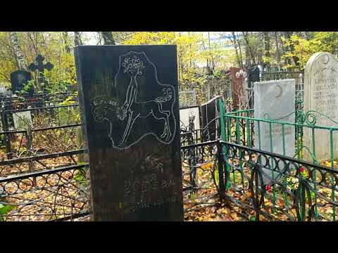 Видео: Покровское кладбище. Надя Рушева и другие..