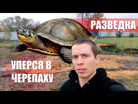 Видео: "Черепаха" мешает сделать Абиссинскую скважину! Разведка
