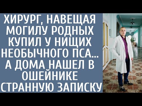Видео: Хирург, навещая могилу родных купил у нищих необычного пса… А дома нашел в ошейнике странную записку