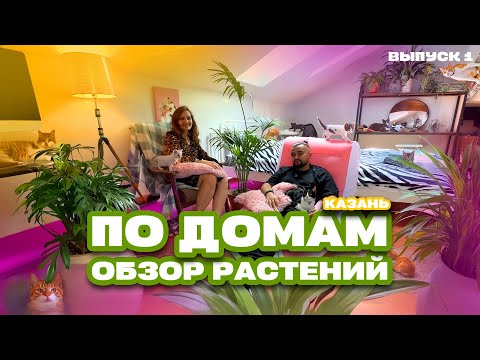 Видео: По домам! Выпуск 1. Обзор комнатных растений в Казани от Maxgreenhome! #растения #комнатныерастения