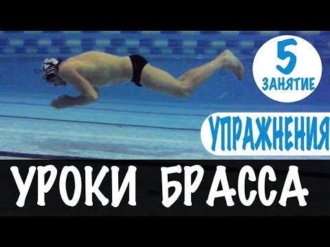 Видео: КАК ЗАКРЕПИТЬ ТЕХНИКУ НА ВСЮ ЖИЗНЬ. УРОКИ БРАССА. УРОК 5 @Swimmate.ru